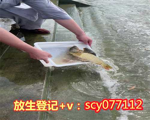 重庆公园放生红鲤鱼，重庆市