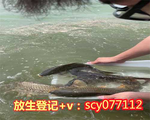南京放生鱼现场视频，南京崇庆寺举行水陆法会之送圣仪式