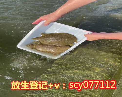 北京哪些水域适合放生鱼，北京市放生小组联系方式