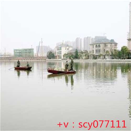 杭州放生地点大全查询电话，杭州西湖十大景点有那些